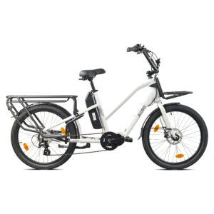 Cargo City E-Bike Cargado
